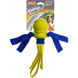 Nylabone Power Play Dog Fetch Toys FlingaBounce FlingaBounce; 1ea-Medium 1 ct