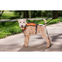 PetSafe Walk Along Outdoor Dog Harness Orange, 1ea/SM