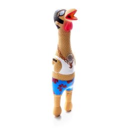 Charming Pet Products Squawkers Earl Dog Toy Multi-Color Large