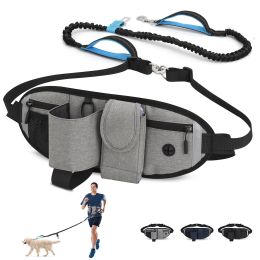 Hands Free Dog Leash with Waist Bag for Walking Small Medium Large Dogs;  Reflective Bungee Leash with Car Seatbelt Buckle and Dual Padded Handles;  A (Leash: 1 dog, Color: grey)