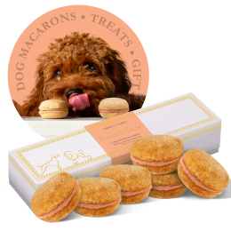 Dog Macarons - Count of 6 (Dog Treats | Dog Gifts) (Flavor: Pumpkin)