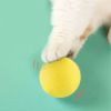 Home Pet Smart Cat Toys Interactive Ball