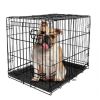 Double-Door Folding Metal Wire Dog Crate with Divider; Large; 36"